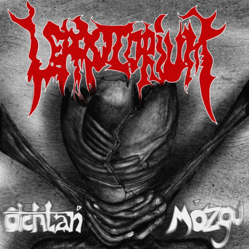 Leprozorium : Otchłań Mózgu